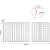 Gabionas su 5 mm viela ir 10x10 cm tinkleliu 450x20x100 cm