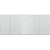 Gabionas su 5 mm viela ir 5x2,5 cm tinkleliu 250x10x100 cm
