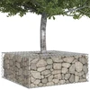 Gabioninė pakelta lova 100 x 100 x 40 cm Cinkuota plienas