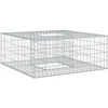 Gabioninė pakelta lova 100 x 100 x 40 cm Cinkuota plienas