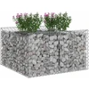 Gabioninė pakelta lova 100 x 100 x 60 cm Galvanizuotas plienas