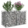 Gabioninė pakelta lova 100 x 50 x 60 cm Galvanizuotas plienas