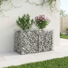 Gabioninė pakelta lova 100 x 50 x 60 cm Galvanizuotas plienas