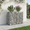 Gabioninė pakelta lova 100 x 50 x 80 cm Galvanizuotas plienas
