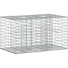 Gabioninė pakelta lova 100 x 60 x 55 cm Galvanizuotas plienas