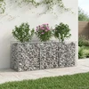 Gabioninė pakelta lova 150 x 50 x 60 cm Galvanizuotas plienas