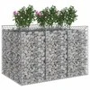 Gabioninė pakelta lova 2 pcs Sidabrinė