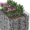 Gabioninė pakelta lova 2 pcs Sidabrinė