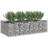 Gabioninė pakelta lova 2 pcs Sidabrinė