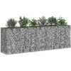 Gabioninė pakelta lova 2 pcs Sidabro 250 x 50 x 80 cm
