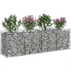 Gabioninė pakelta lova 200 x 50 x 60 cm Galvanizuotas plienas