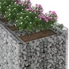 Gabioninė pakelta lova 3 pcs Sidabrinė