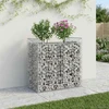 Gabioninė pakelta lova 50 x 100 x 100 cm Galvanizuotas plienas
