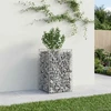 Gabioninė pakelta lova 50 x 50 x 80 cm Galvanizuotas plienas