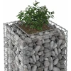 Gabioninė pakelta lova 50 x 50 x 80 cm Galvanizuotas plienas