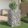 Gabioninė pakelta lova 50 x 50 x 80 cm Galvanizuotas plienas