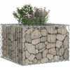 Gabioninė pakelta lova 60 x 60 x 40 cm Cinkuota plienas Sidabro