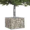 Gabioninė pakelta lova 60 x 60 x 40 cm Cinkuota plienas Sidabro