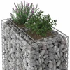 Gabioninė pakelta lova 90 x 50 x 80 cm Galvanizuotas plienas