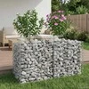 Gabioninė pakelta lova 100 x 50 x 60 cm Galvanizuotas plienas
