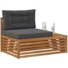 Lauko galinė sofa su pagalve Natūrali 115 x 83 x 73 cm