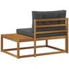 Lauko galinė sofa su pagalve Natūrali 115 x 83 x 73 cm