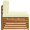 Lauko galinė sofa su pagalve Natūrali 115 x 83 x 73 cm