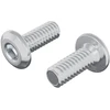 Galvos užrakto varžtas 2 vnt. Sidabro M6 x 15 mm Plienas