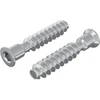 Galvutės varžtas 2 vnt. Sidabrinė M7 x 40 mm Plienas