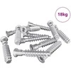Galvutės varžtas 2900 pcs Sidabro Plienas