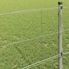 Ganyklų tvora Sidabro