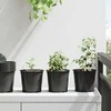 Gėlių vazonas 100 pcs Juoda Ø 15 x 13 cm Plastmasė