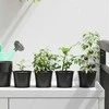 Apvalus gėlių vazonas 100 pcs Juoda Ø 10 x 8 cm Plastmasė