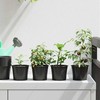 Apvalus gėlių vazonas 200 pcs Juoda Ø 10 x 8 cm Plastmasė