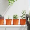 Gėlių vazonas 200 pcs Terakotos Ø 15 x 13 cm Plastmasė