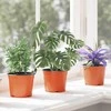 Apvalus gėlių vazonas 200 pcs Terakotos Ø 10 x 8 cm Plastmasė