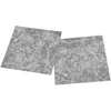 Grindų lentos Pilka 5,11 m² 55 vnt. PVC