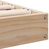 Lova Grindų lovos rėmas Natūrali 100 x 220 cm Kietos pušies mediena