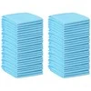 Neaustinės medžiagos augintinių treniruočių pagalvėlė 50 pcs