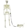 Helovino puošmena -skeletas 2 pcs Balta Polipropilenas