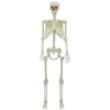 Helovino Skeleton Balta 155 x 38,5 cm Polipropilenas