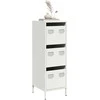 Highboard Baltas 39x35x103,5 cm Plienas