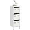Highboard Baltas 39x35x103,5 cm Plienas