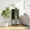 indauja alyvuogių žalia 36x39x107 cm šaltai valcuotas plienas