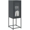 indauja antracitas 36x39x107 cm šaltai valcuotas plienas