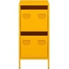 indauja garstyčių geltona 35x39x73,5cm šaltai valcuotas plienas