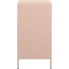 indauja rožinė 35x39x73,5 cm šaltai valcuotas plienas
