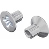 Įsukamo galvutės varžtai 2 vnt. Sidabro M4 x 6 mm Plienas