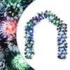 Kalėdinė girlanda 200 cm 16 LED Įvairių spalvų PET
