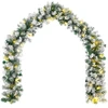 Kalėdinė girlanda Žalia ir balta 270 cm PVC 50 LED
